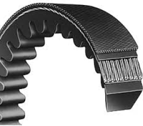 DÂY CUROA RĂNG XPA